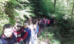 Classe Decouverte   070